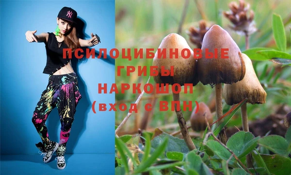 мескалин Козловка