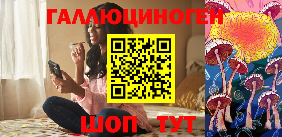 Галлюциногенные грибы прущие грибы  Улан-Удэ  Галлюциногенные грибы GOLDEN TEACHER 