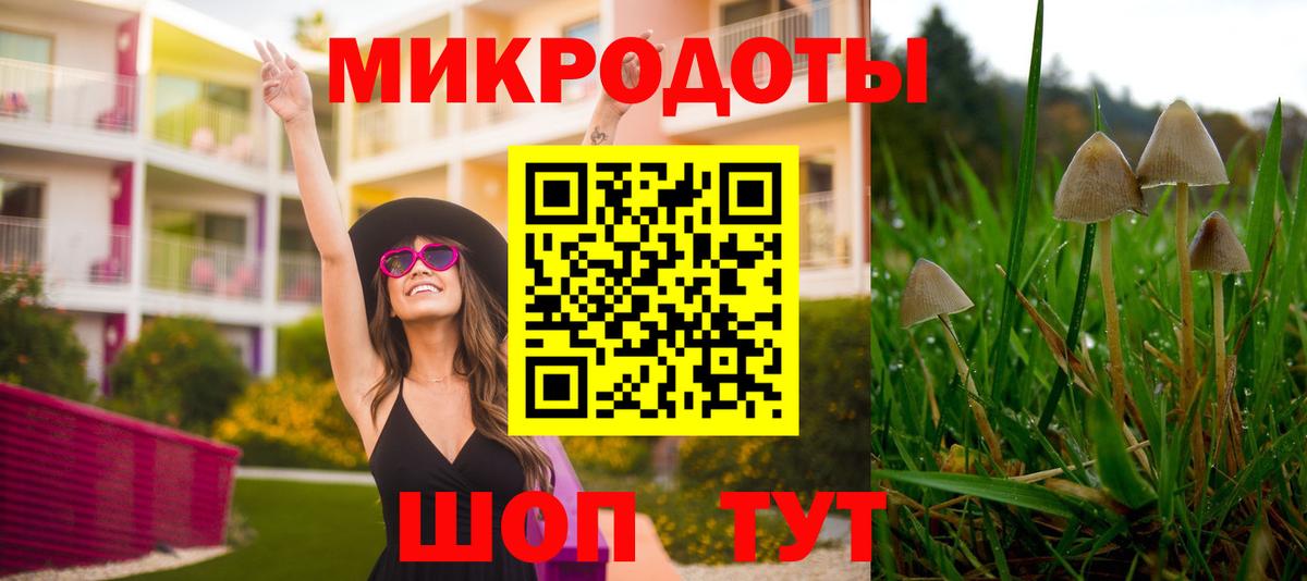 Псилоцибиновые грибы прущие грибы  Вход с VPN  Галлюциногенные грибы мицелий  где можно купить наркотик  Улан-Удэ 