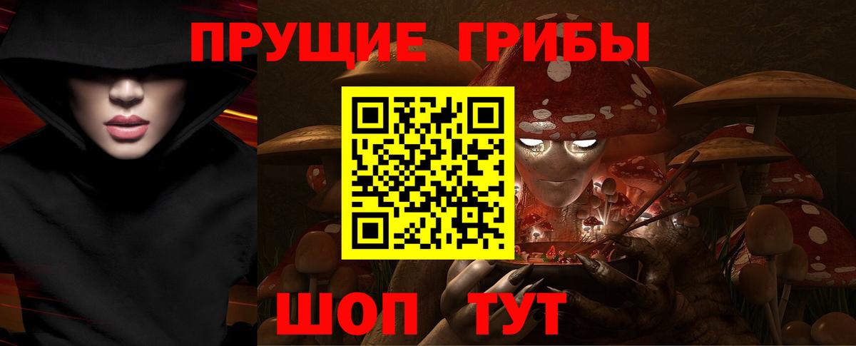 Галлюциногенные грибы прущие грибы Улан-Удэ